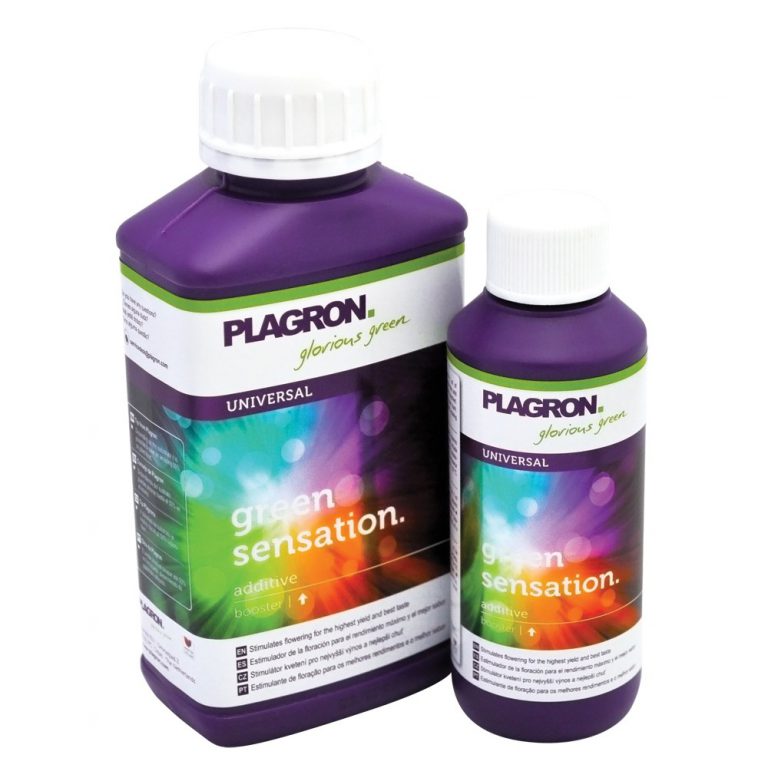 plagron