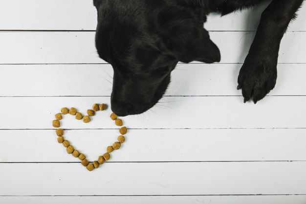 Kvalitetna pasja hrana