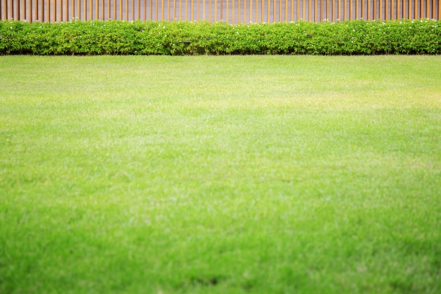 Avtomatska košnja trave